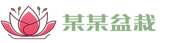 江南体育APP(官方)手机APP下载IOS/安卓/网页通用版入口